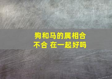 狗和马的属相合不合 在一起好吗